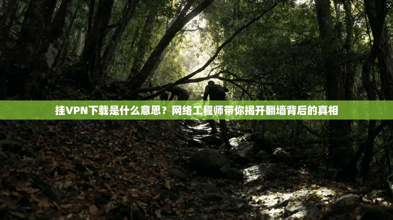挂VPN下载是什么意思？网络工程师带你揭开翻墙背后的真相