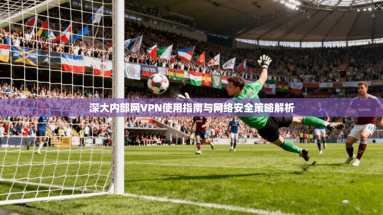深大内部网VPN使用指南与网络安全策略解析