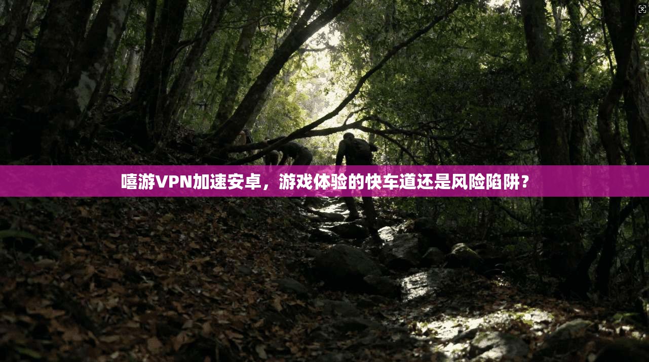 嘻游VPN加速安卓，游戏体验的快车道还是风险陷阱？