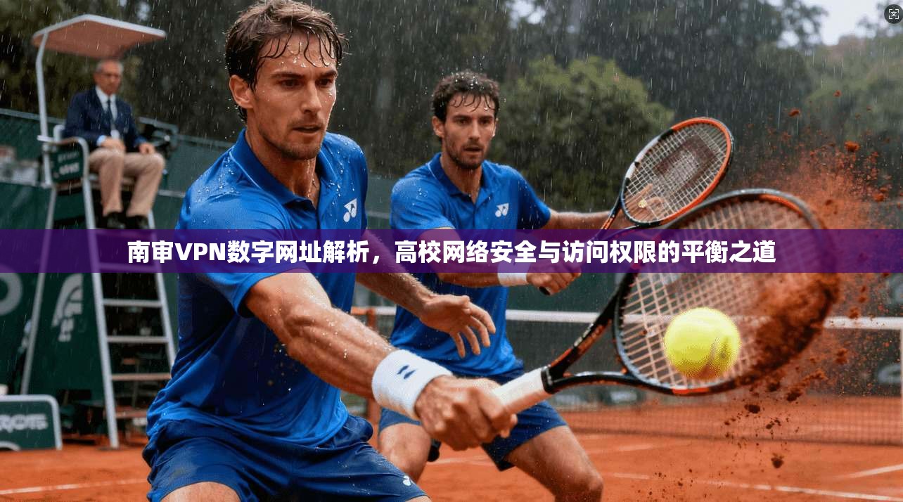 南审VPN数字网址解析，高校网络安全与访问权限的平衡之道