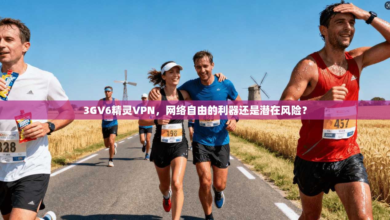 3GV6精灵VPN，网络自由的利器还是潜在风险？