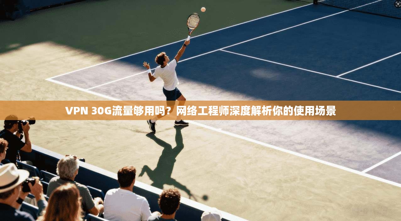 VPN 30G流量够用吗？网络工程师深度解析你的使用场景