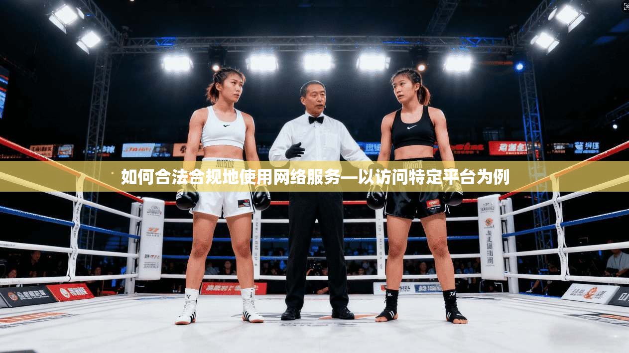 如何合法合规地使用网络服务—以访问特定平台为例
