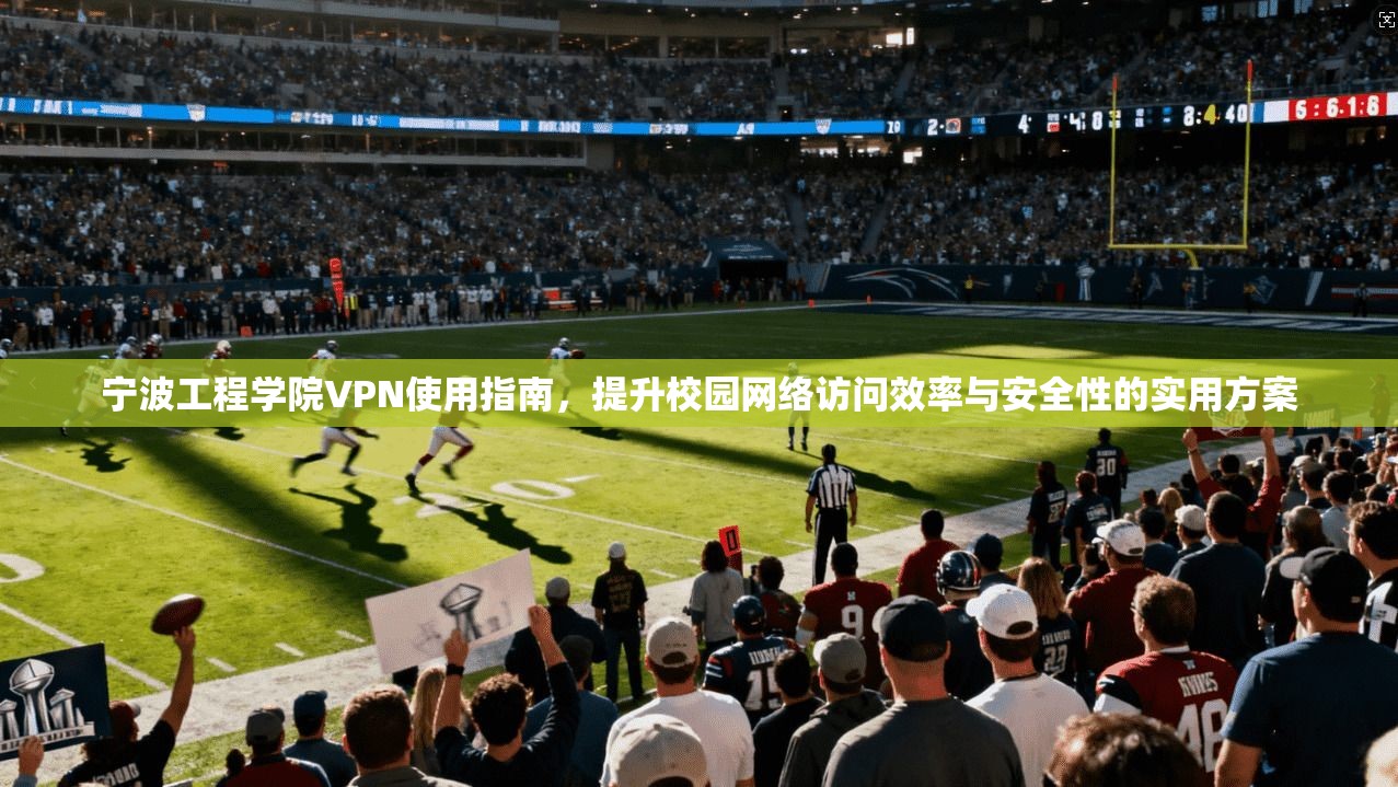 宁波工程学院VPN使用指南，提升校园网络访问效率与安全性的实用方案
