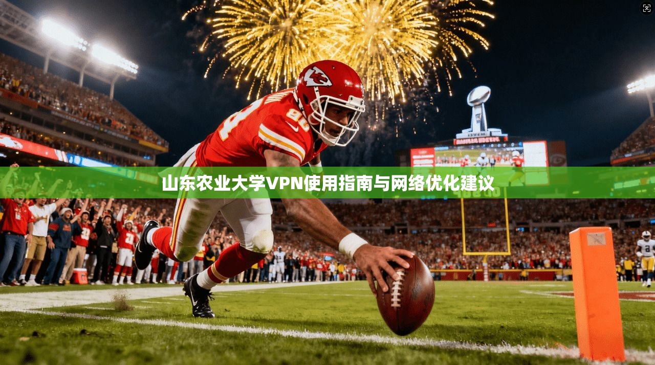 山东农业大学VPN使用指南与网络优化建议