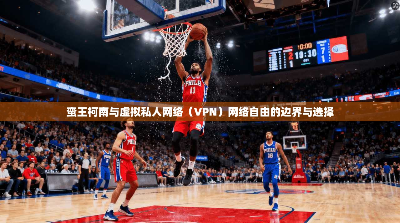 蛮王柯南与虚拟私人网络（VPN）网络自由的边界与选择