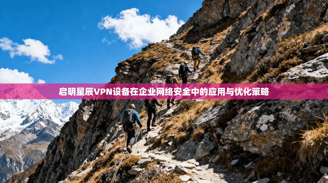 启明星辰VPN设备在企业网络安全中的应用与优化策略