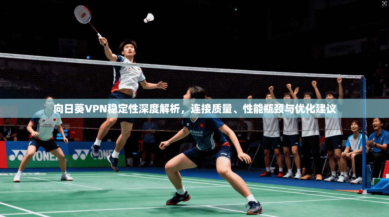 向日葵VPN稳定性深度解析，连接质量、性能瓶颈与优化建议