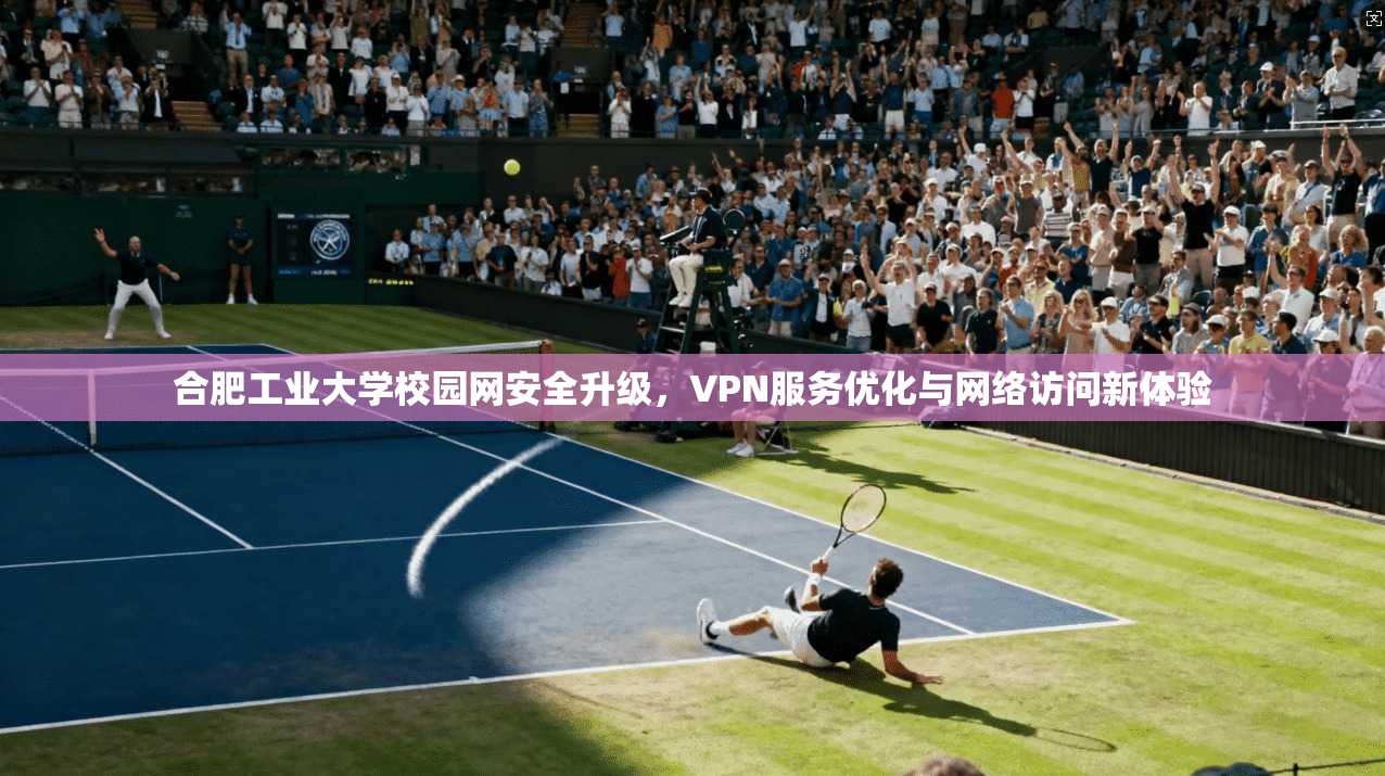 合肥工业大学校园网安全升级，VPN服务优化与网络访问新体验