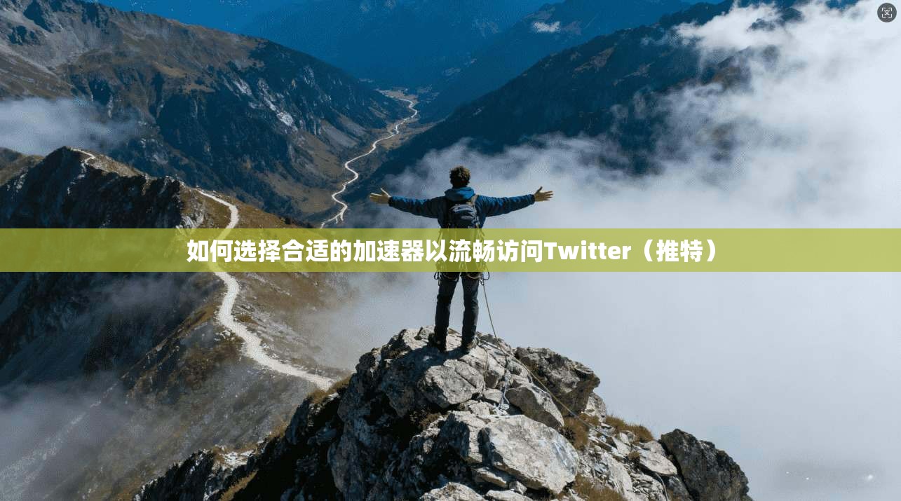 如何选择合适的加速器以流畅访问Twitter（推特）