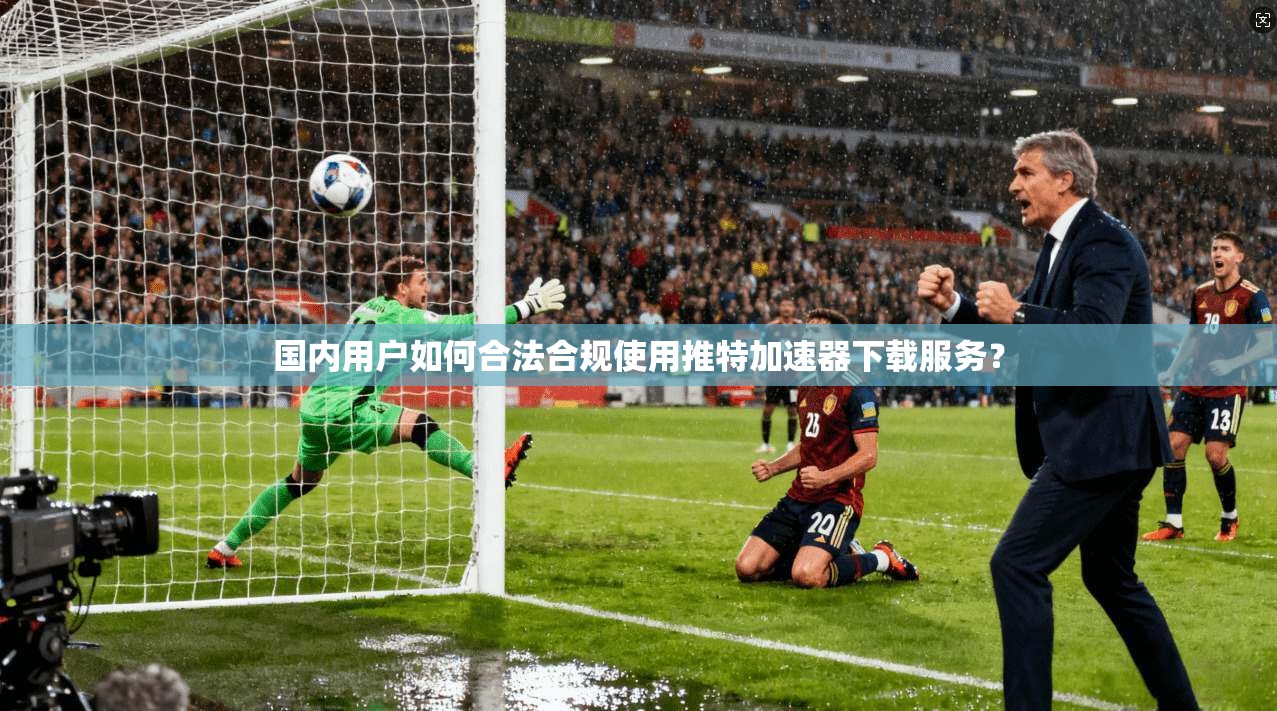 国内用户如何合法合规使用推特加速器下载服务？