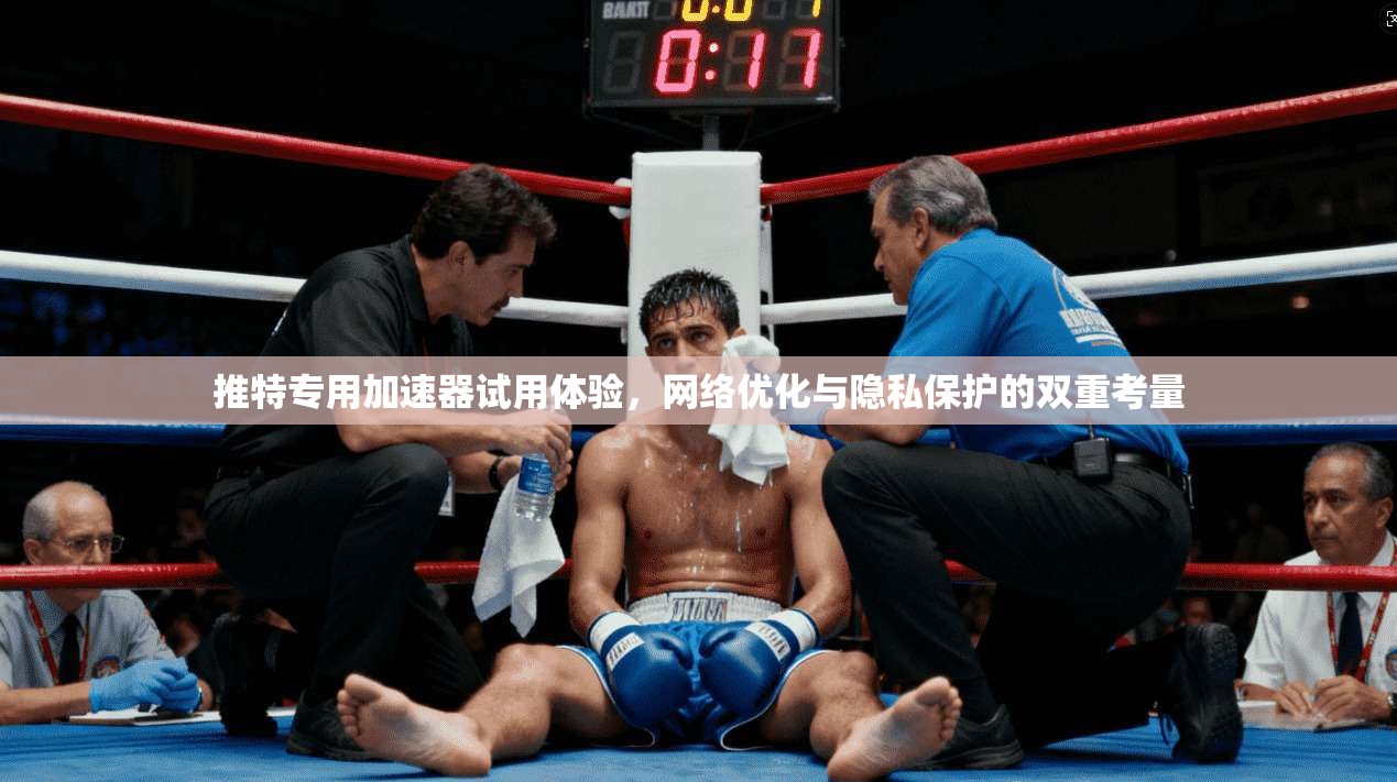 推特专用加速器试用体验，网络优化与隐私保护的双重考量