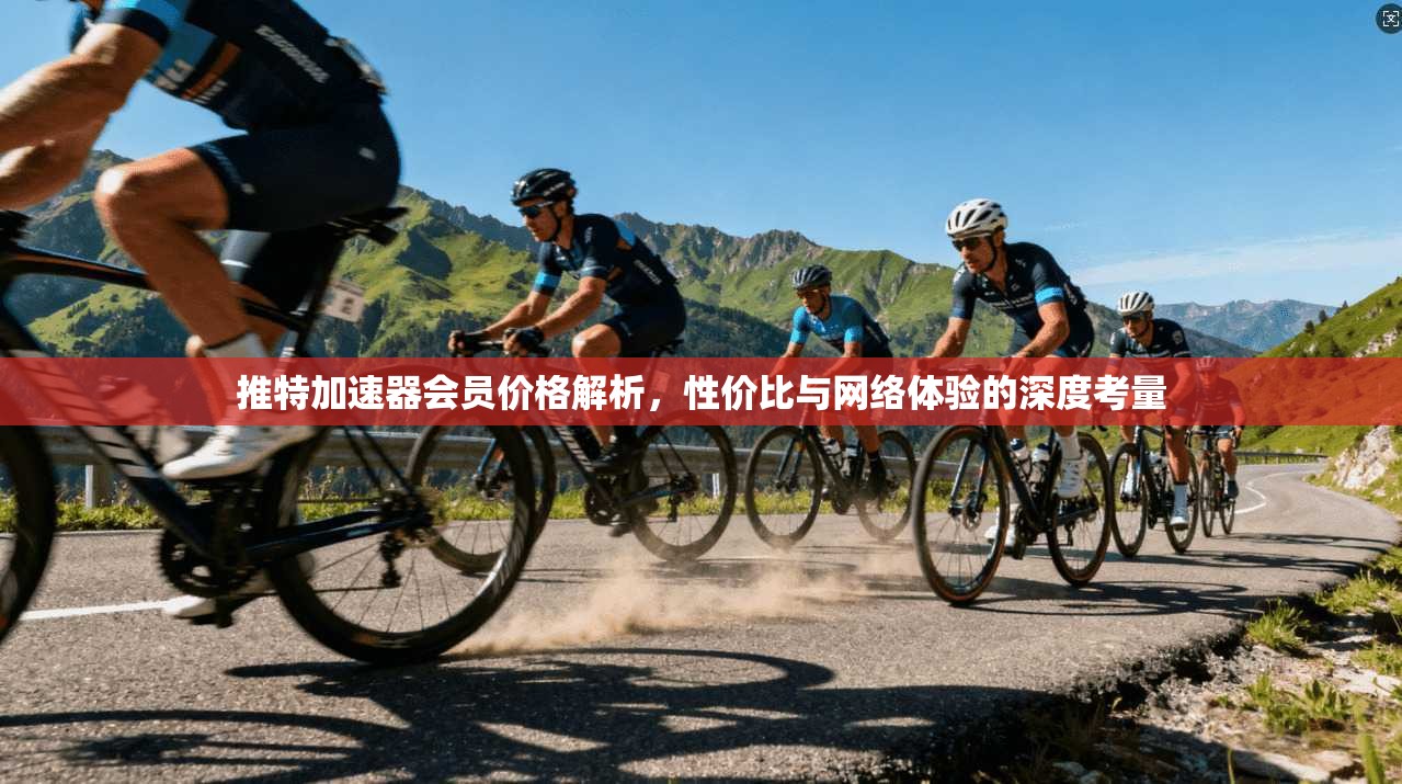 推特加速器会员价格解析，性价比与网络体验的深度考量