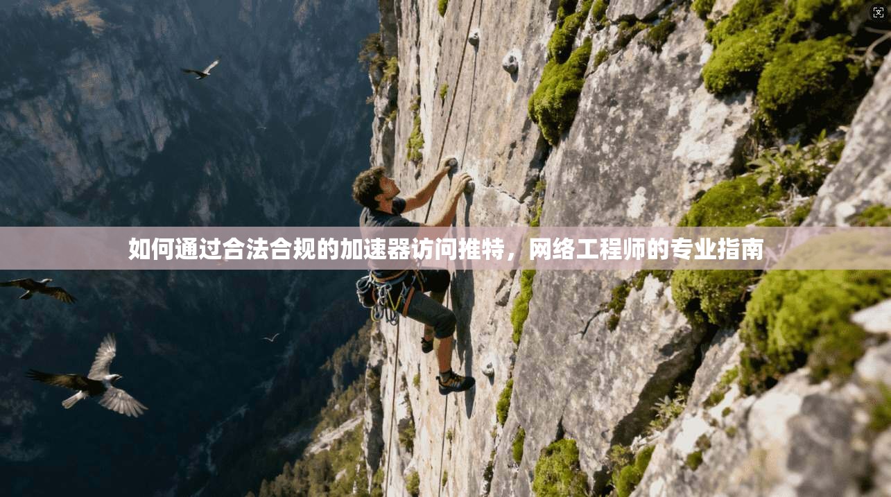 如何通过合法合规的加速器访问推特，网络工程师的专业指南