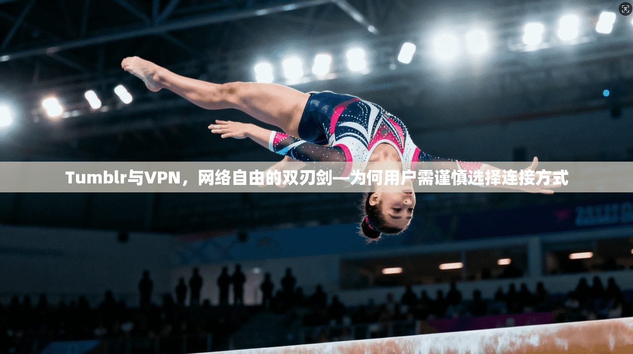Tumblr与VPN，网络自由的双刃剑—为何用户需谨慎选择连接方式
