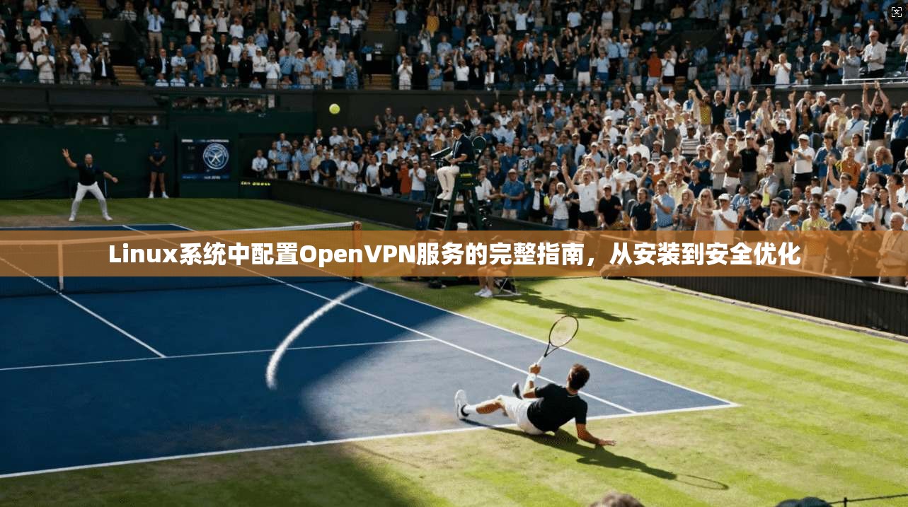 Linux系统中配置OpenVPN服务的完整指南，从安装到安全优化