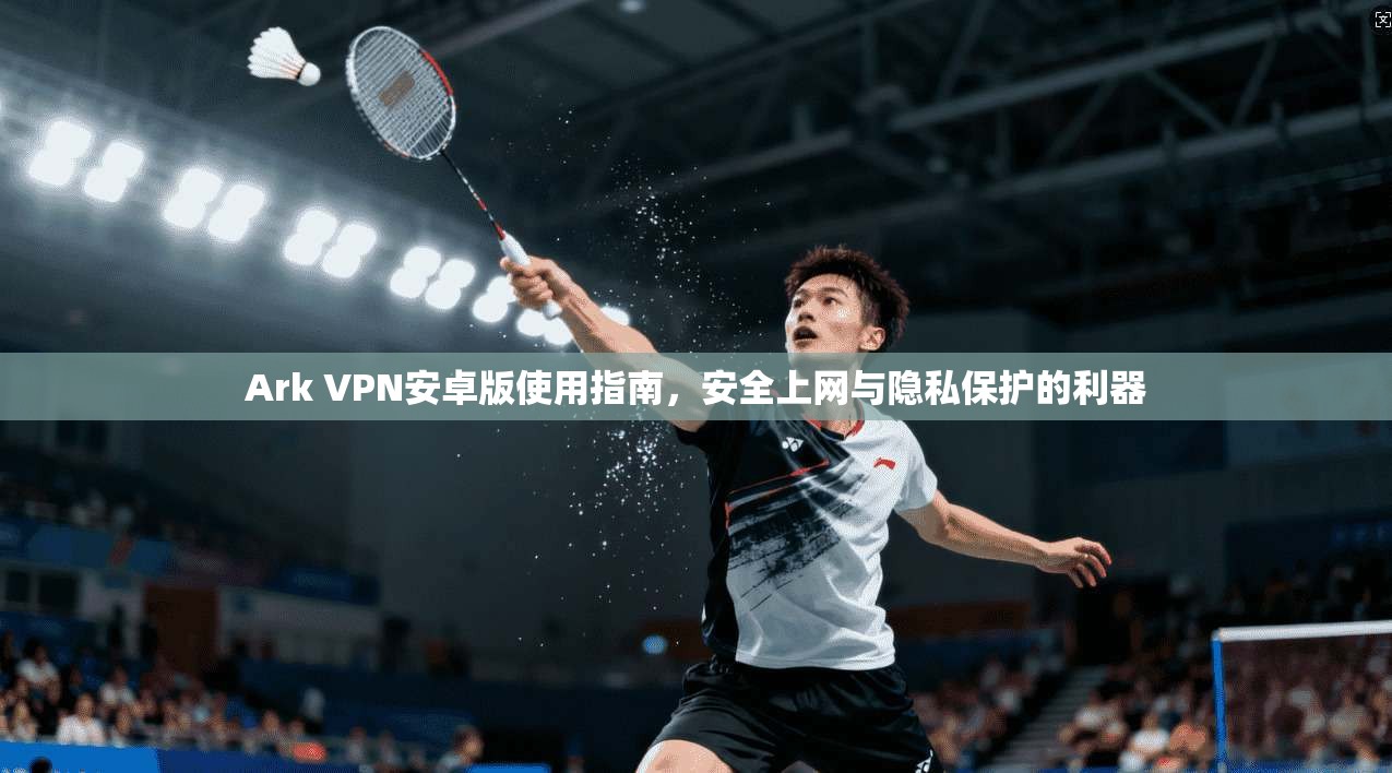 Ark VPN安卓版使用指南，安全上网与隐私保护的利器