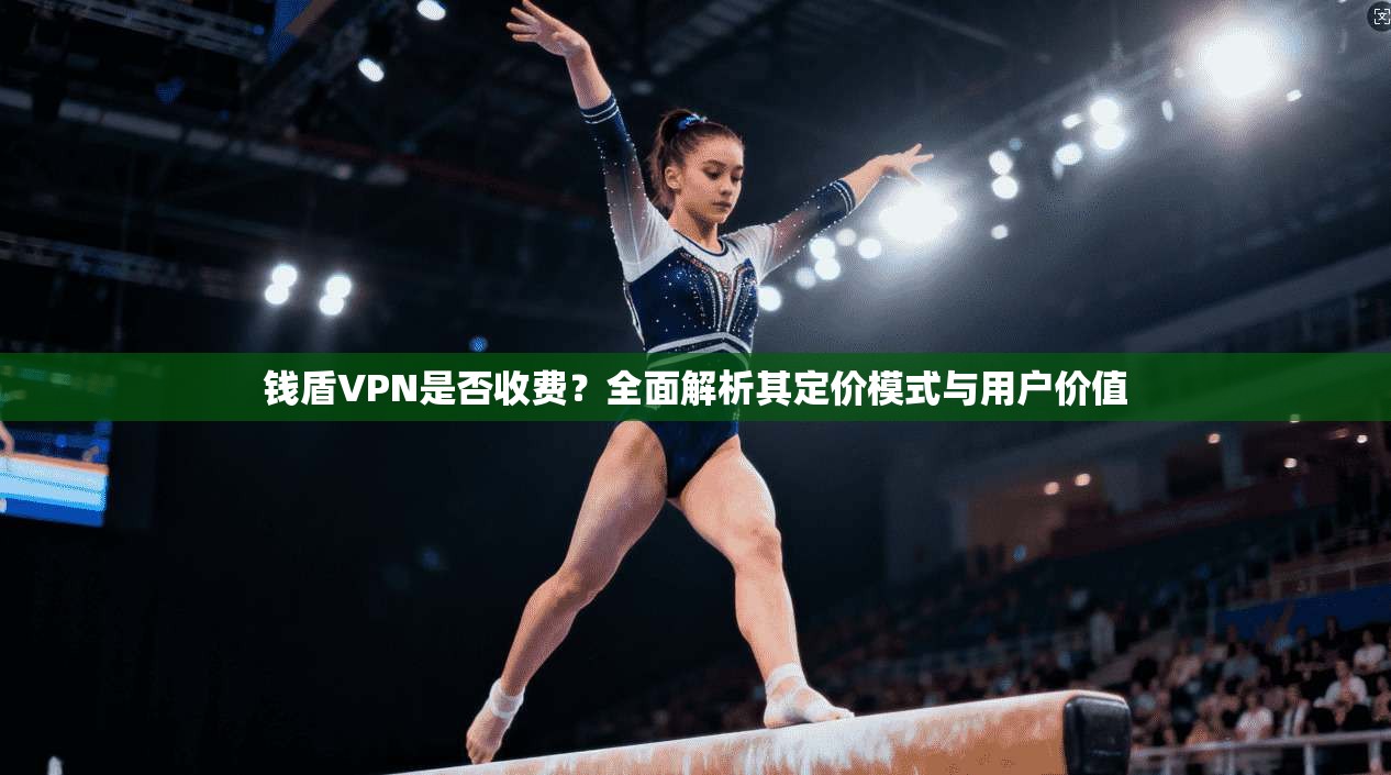钱盾VPN是否收费？全面解析其定价模式与用户价值