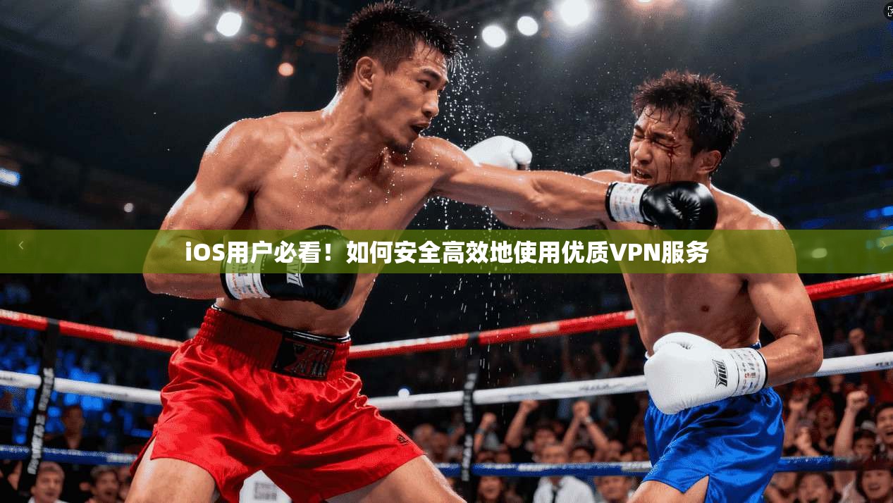 iOS用户必看！如何安全高效地使用优质VPN服务