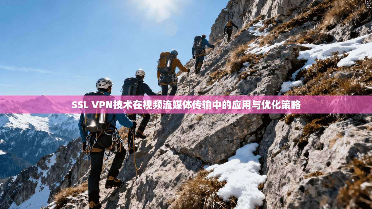 SSL VPN技术在视频流媒体传输中的应用与优化策略