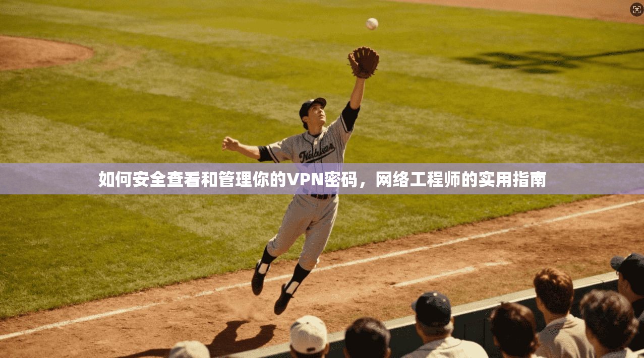 如何安全查看和管理你的VPN密码，网络工程师的实用指南