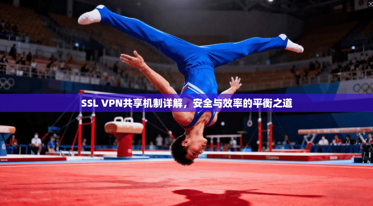 SSL VPN共享机制详解，安全与效率的平衡之道