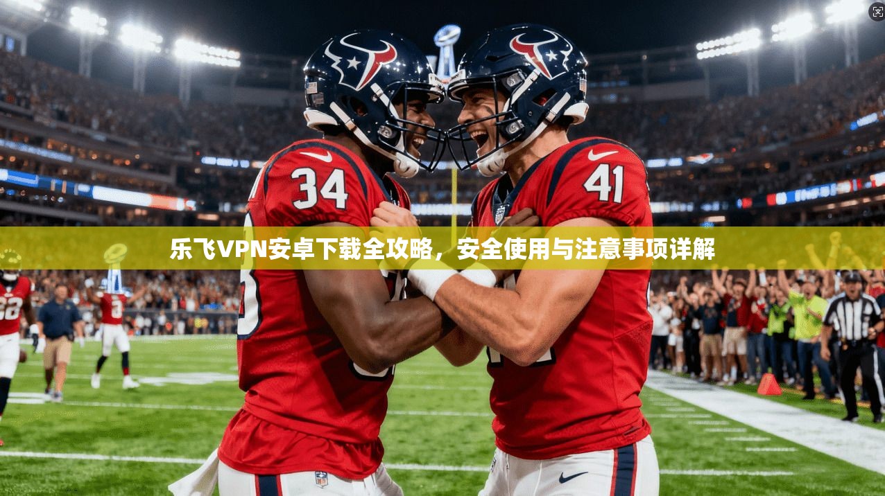 乐飞VPN安卓下载全攻略，安全使用与注意事项详解