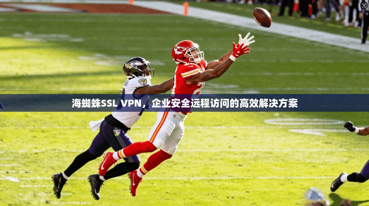 海蜘蛛SSL VPN，企业安全远程访问的高效解决方案
