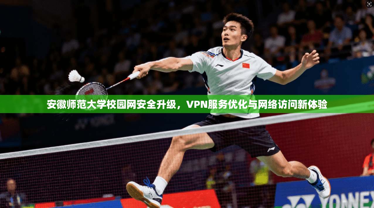 安徽师范大学校园网安全升级，VPN服务优化与网络访问新体验