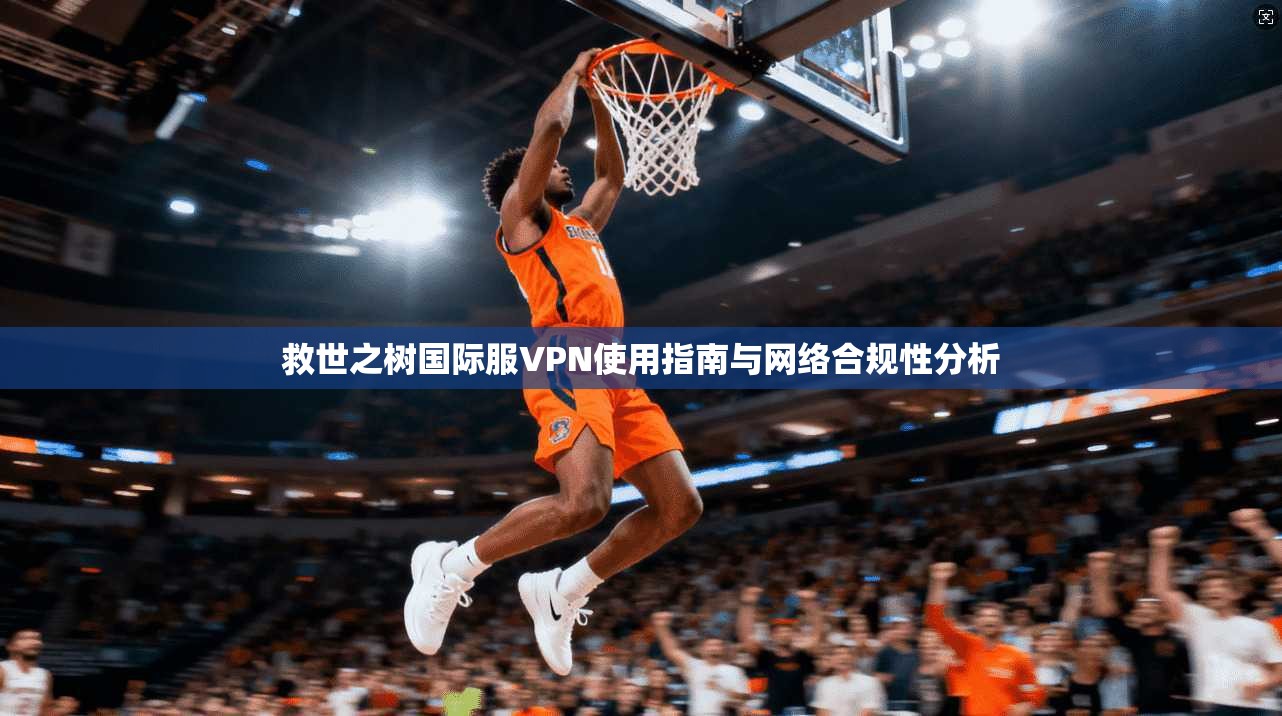 救世之树国际服VPN使用指南与网络合规性分析