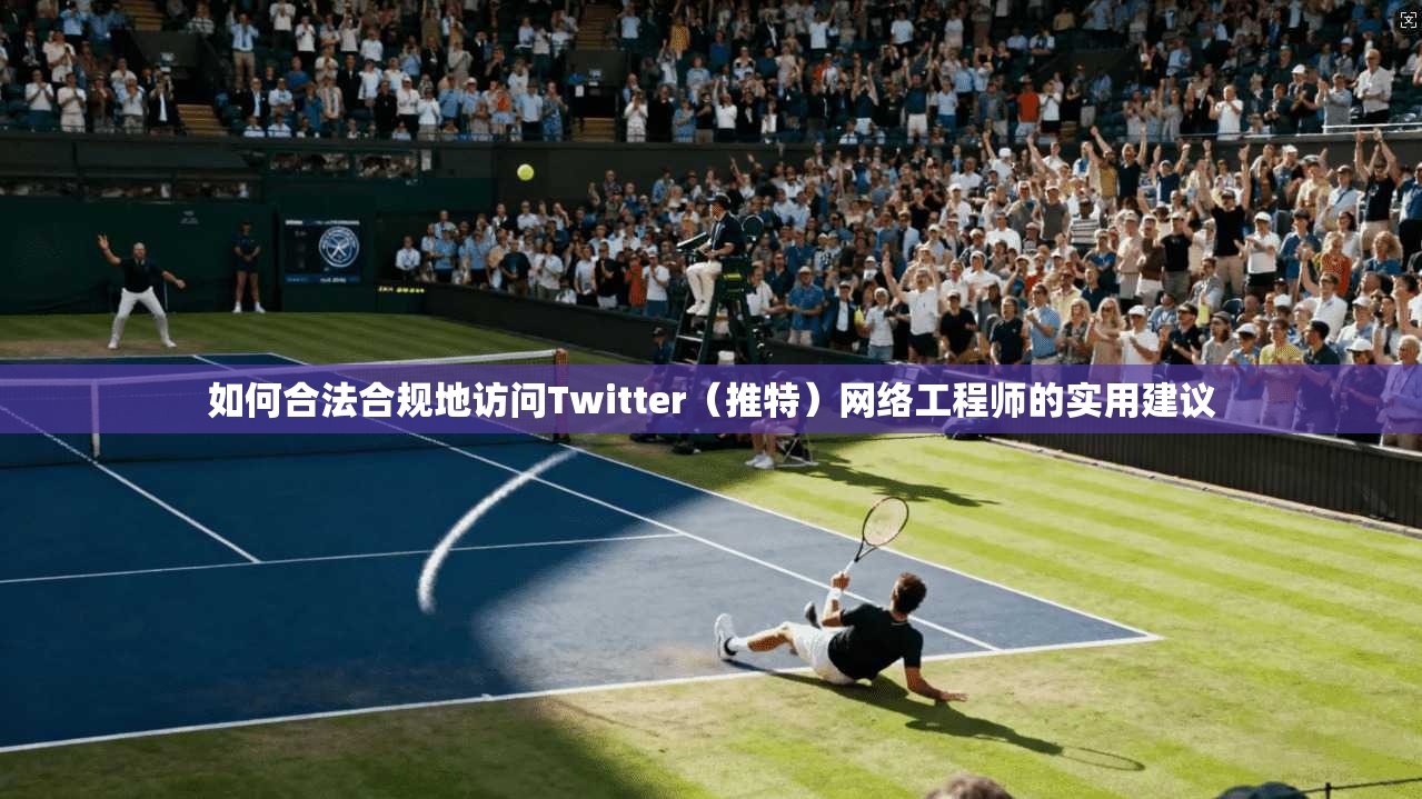 如何合法合规地访问Twitter（推特）网络工程师的实用建议