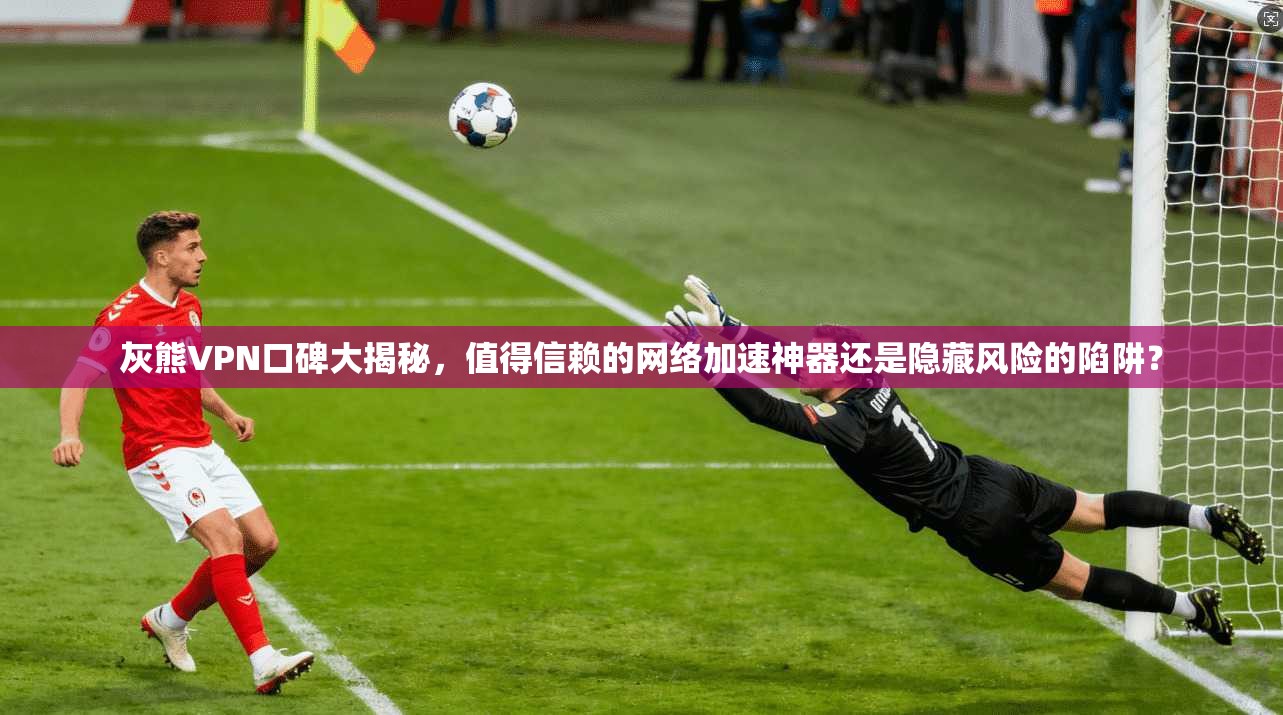 灰熊VPN口碑大揭秘，值得信赖的网络加速神器还是隐藏风险的陷阱？