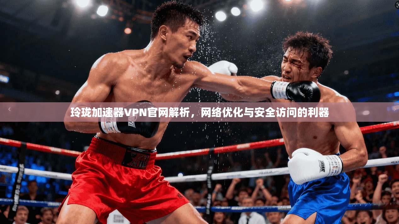 玲珑加速器VPN官网解析，网络优化与安全访问的利器