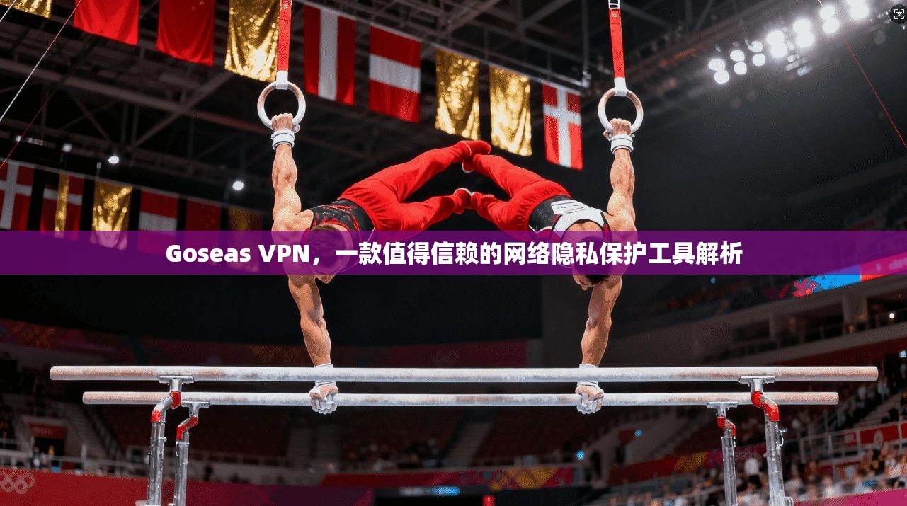 Goseas VPN，一款值得信赖的网络隐私保护工具解析