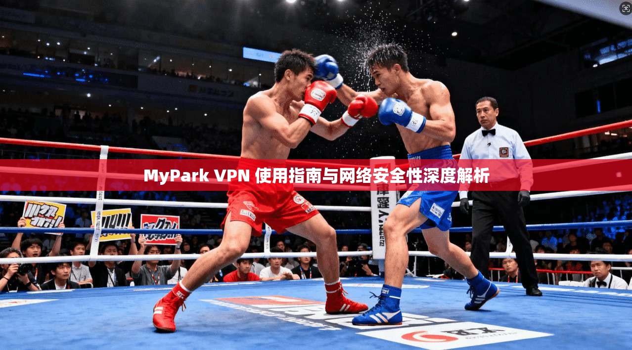 MyPark VPN 使用指南与网络安全性深度解析