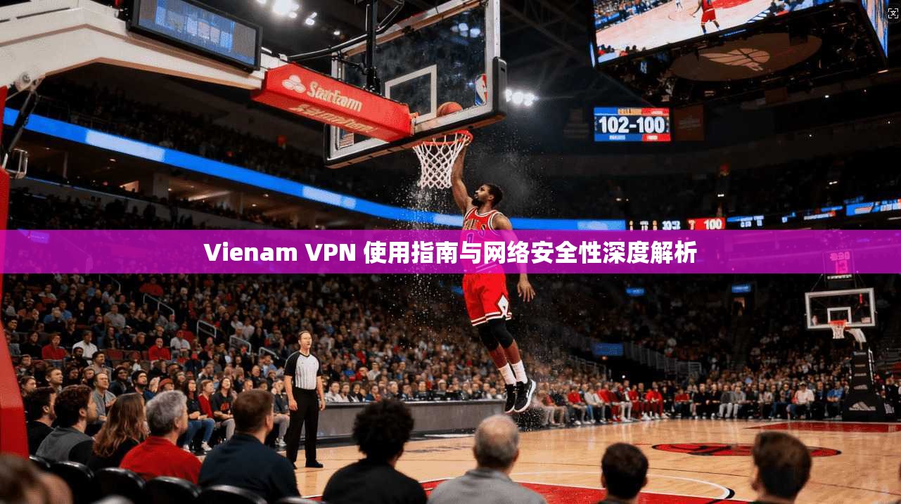 Vienam VPN 使用指南与网络安全性深度解析