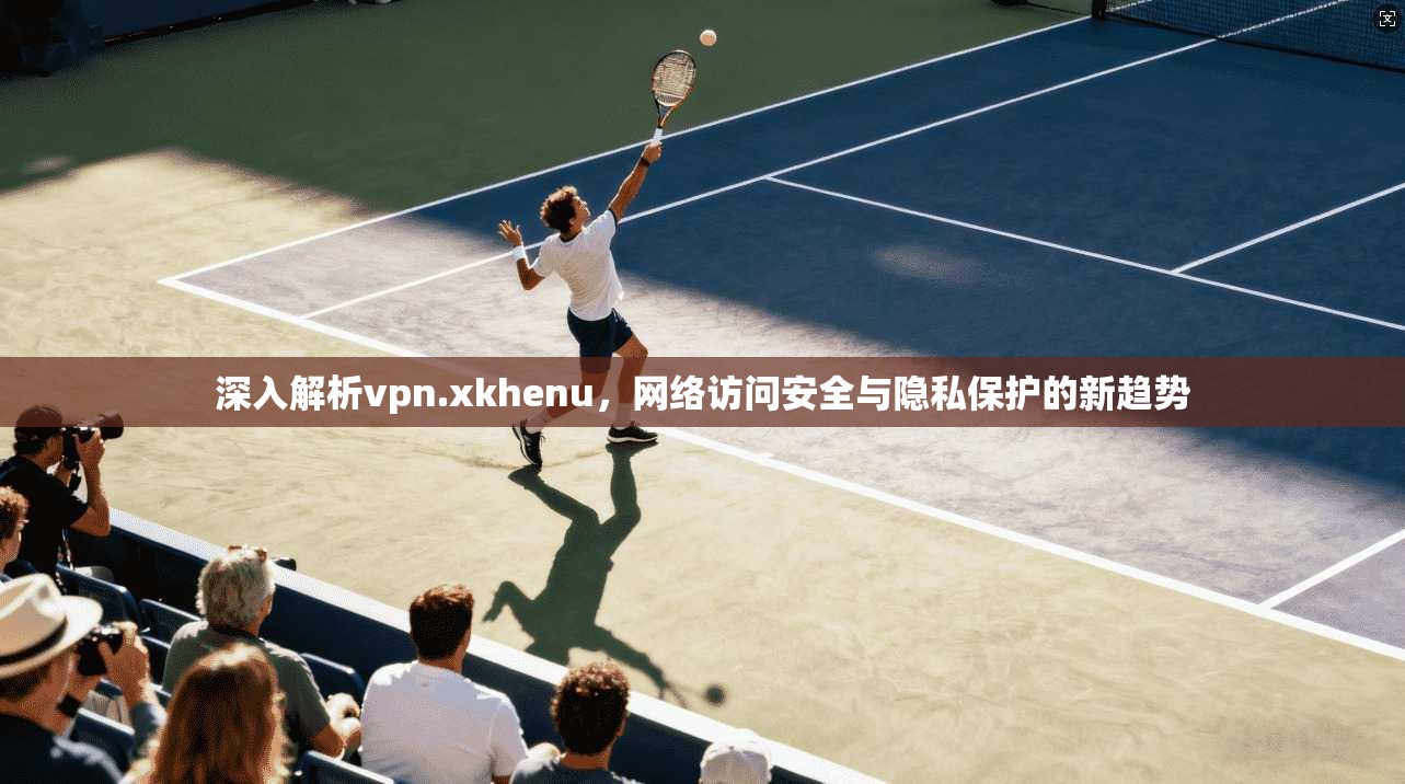 深入解析vpn.xkhenu，网络访问安全与隐私保护的新趋势