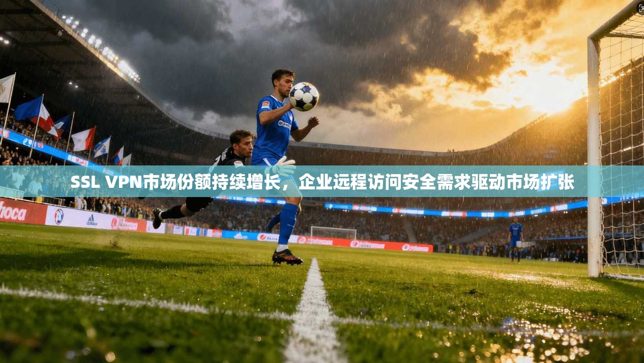 SSL VPN市场份额持续增长，企业远程访问安全需求驱动市场扩张