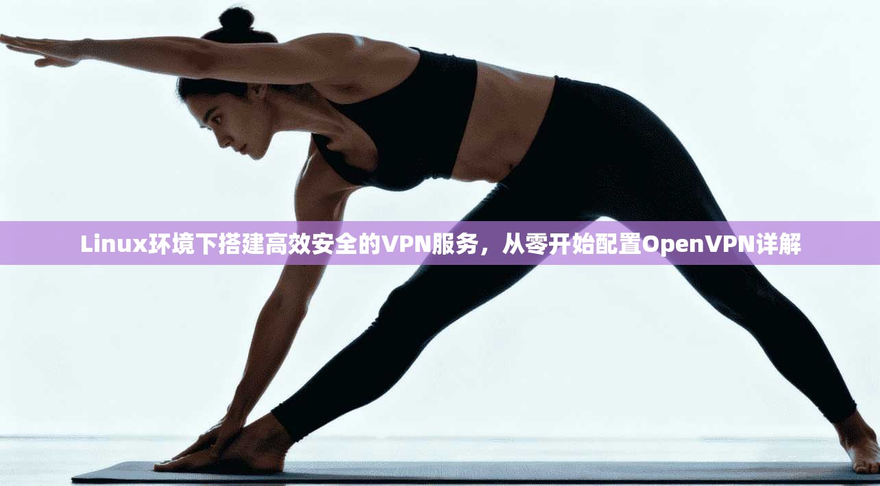 Linux环境下搭建高效安全的VPN服务，从零开始配置OpenVPN详解