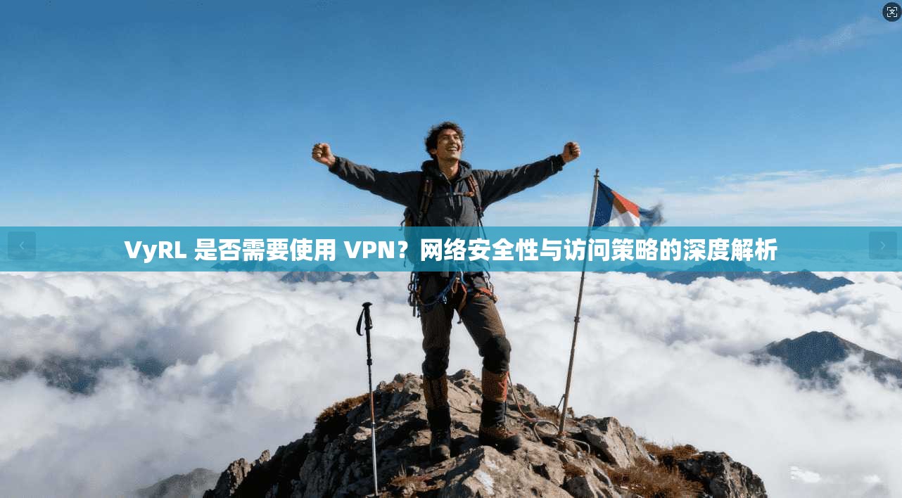 VyRL 是否需要使用 VPN？网络安全性与访问策略的深度解析