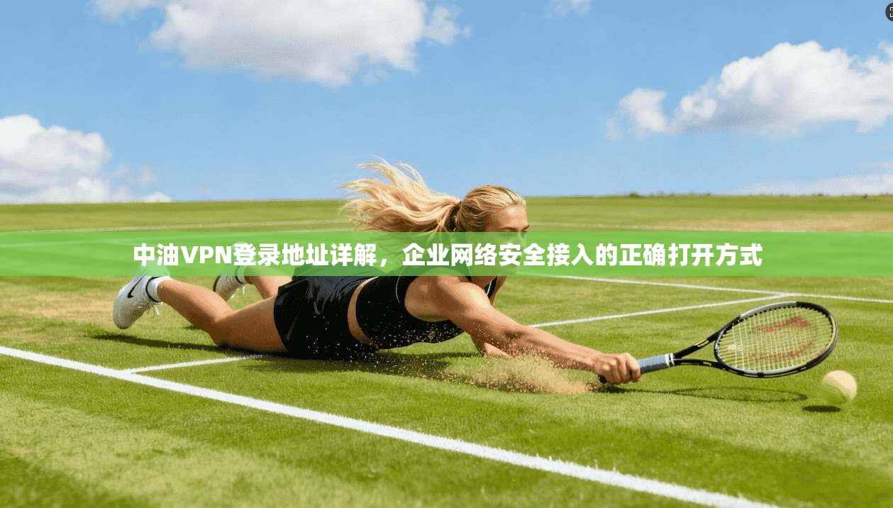 中油VPN登录地址详解，企业网络安全接入的正确打开方式
