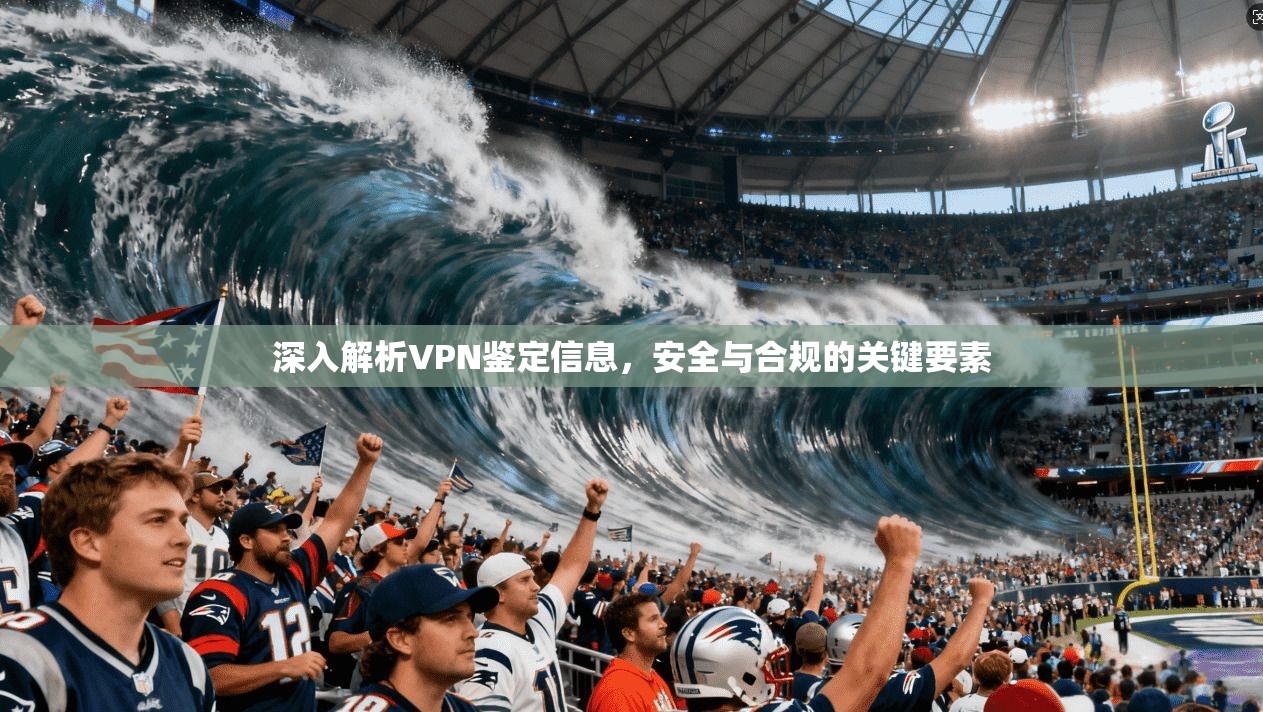 深入解析VPN鉴定信息，安全与合规的关键要素