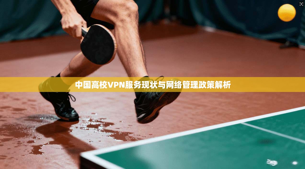 中国高校VPN服务现状与网络管理政策解析