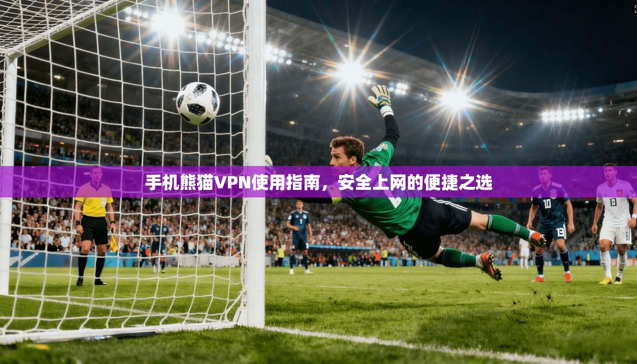 手机熊猫VPN使用指南，安全上网的便捷之选