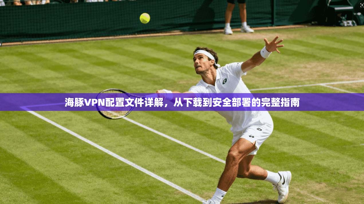 海豚VPN配置文件详解，从下载到安全部署的完整指南
