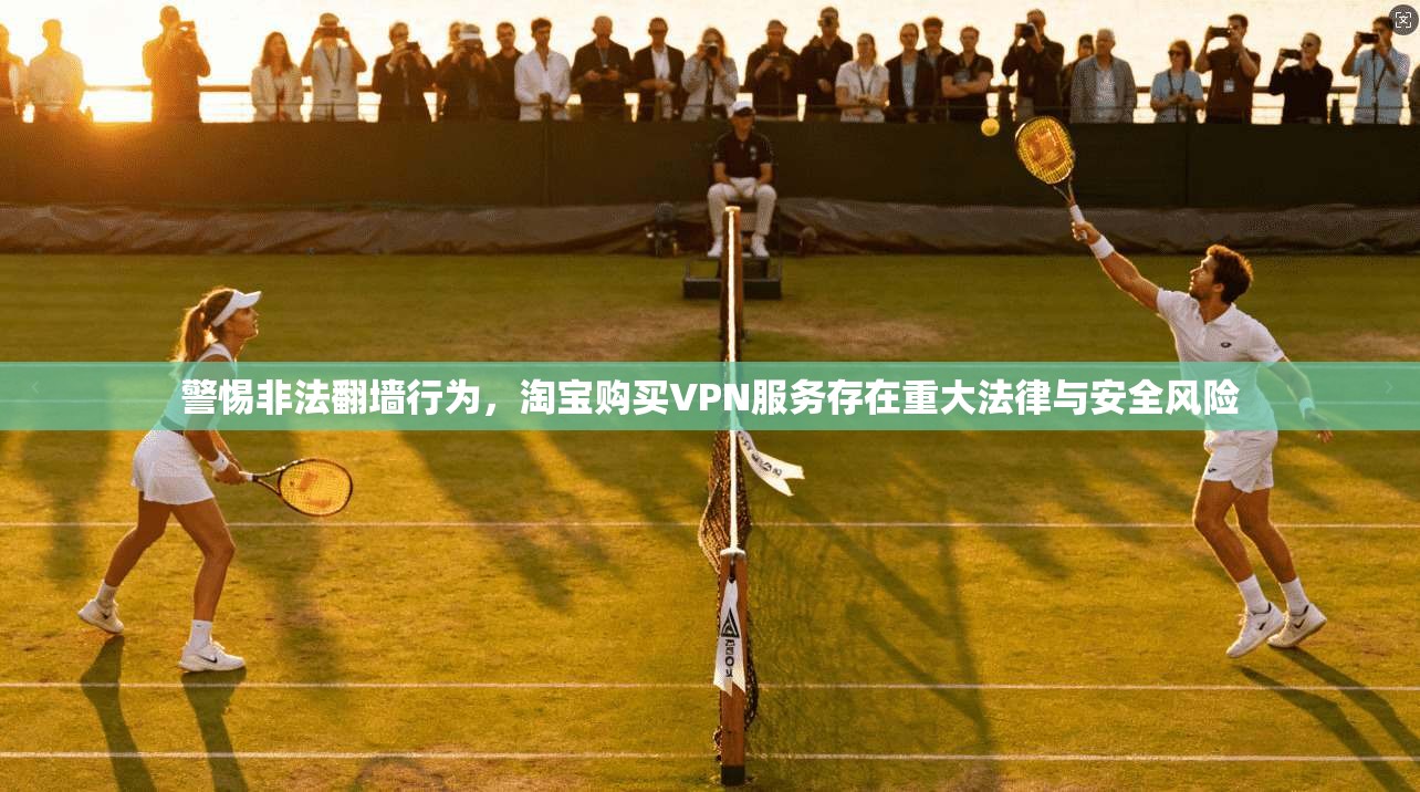 警惕非法翻墙行为，淘宝购买VPN服务存在重大法律与安全风险