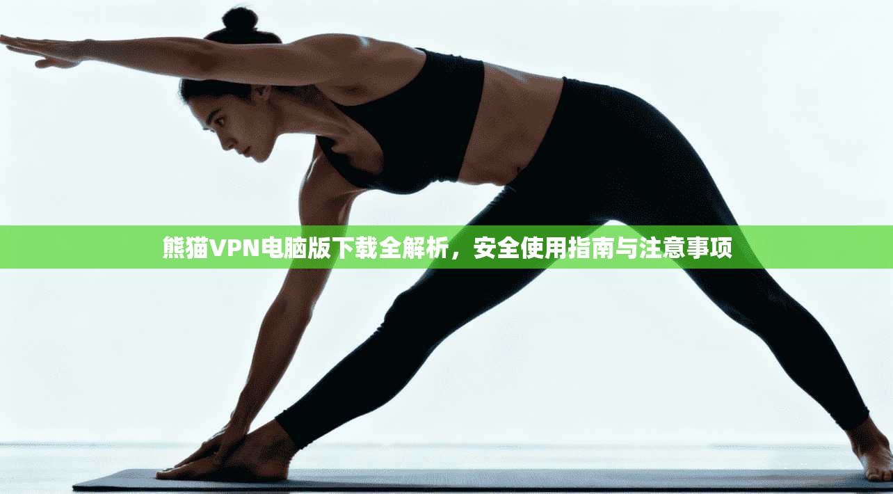 熊猫VPN电脑版下载全解析，安全使用指南与注意事项