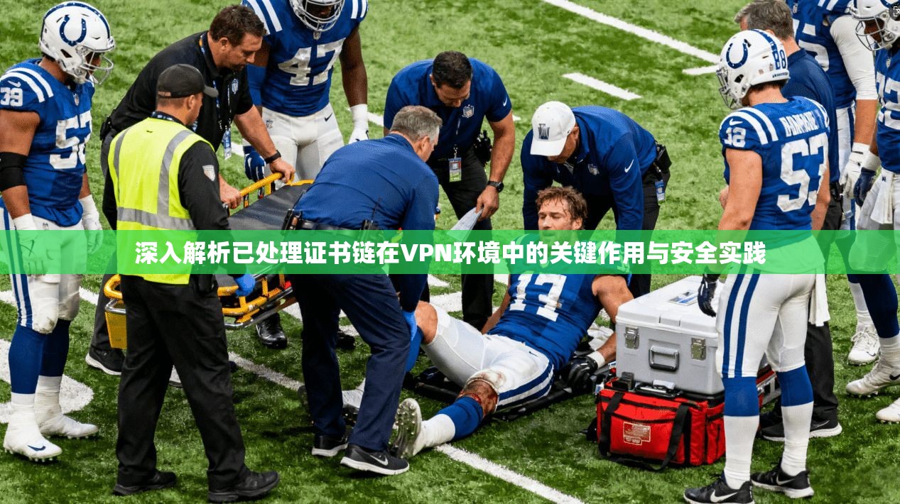 深入解析已处理证书链在VPN环境中的关键作用与安全实践
