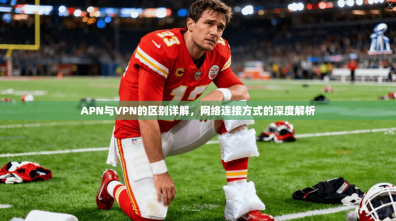 APN与VPN的区别详解，网络连接方式的深度解析
