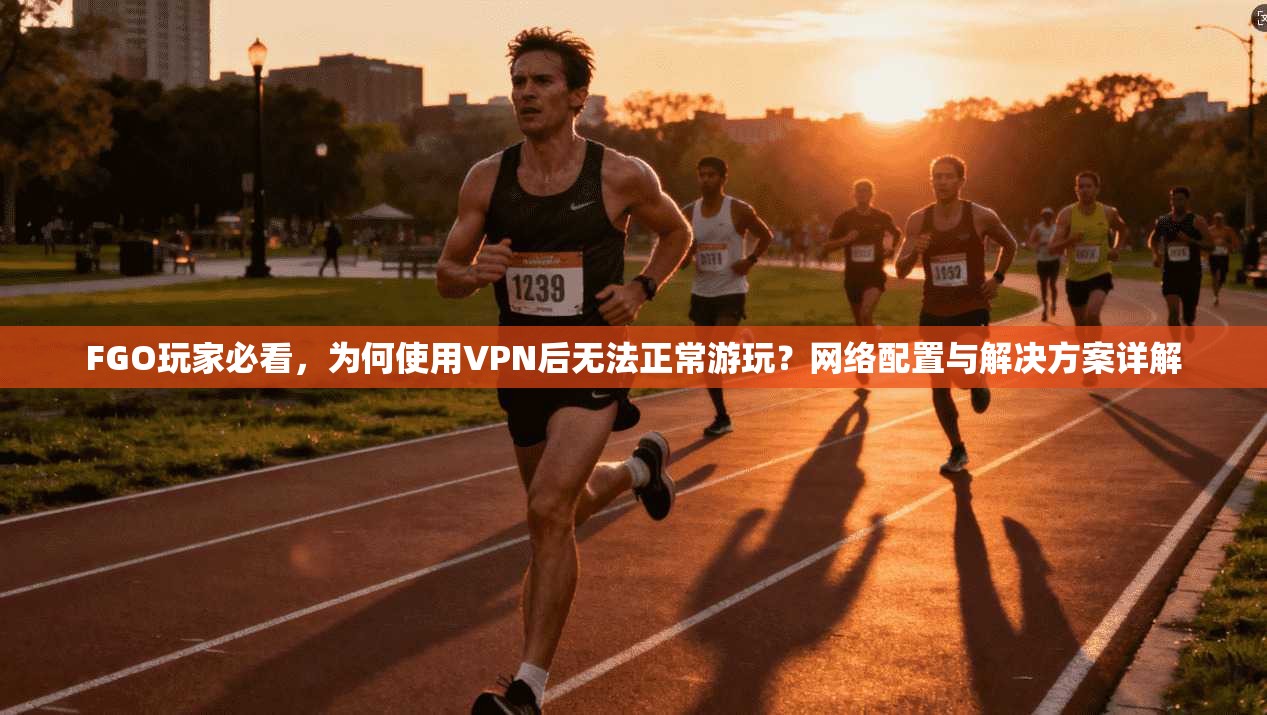 FGO玩家必看，为何使用VPN后无法正常游玩？网络配置与解决方案详解